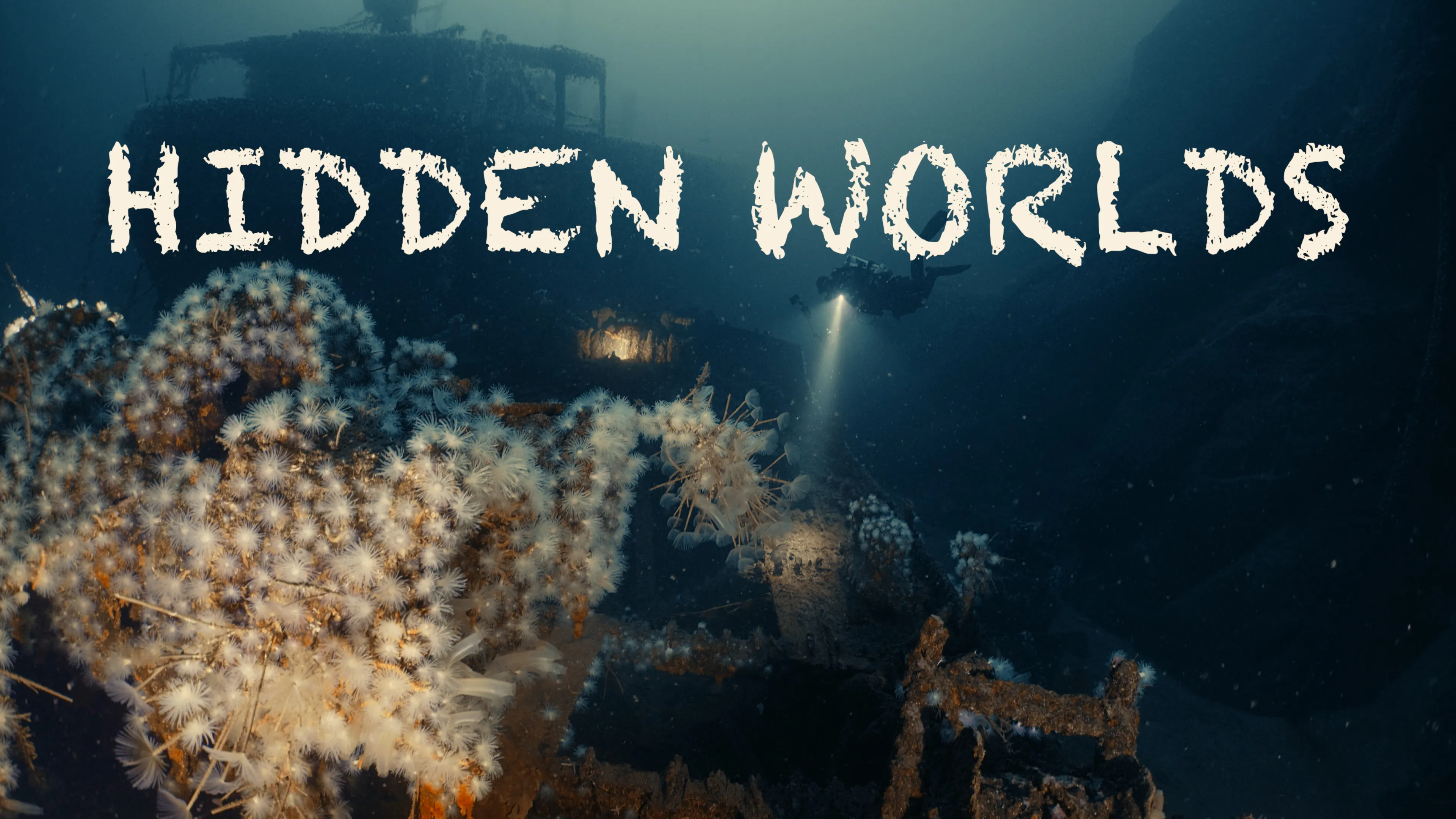Title poster image